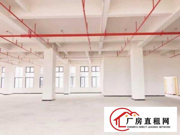  （出租）厚街高端产业园业主直租科技企业租金补贴高达200万