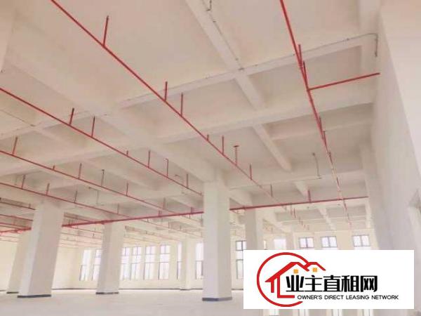  厚街万达旁高端产业园1910平全新厂房低价出租可装峰谷表