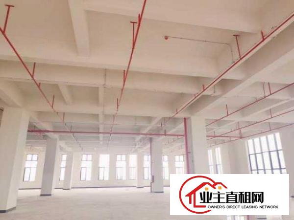  厚街万达旁高端产业园1910平全新厂房低价出租可装峰谷表