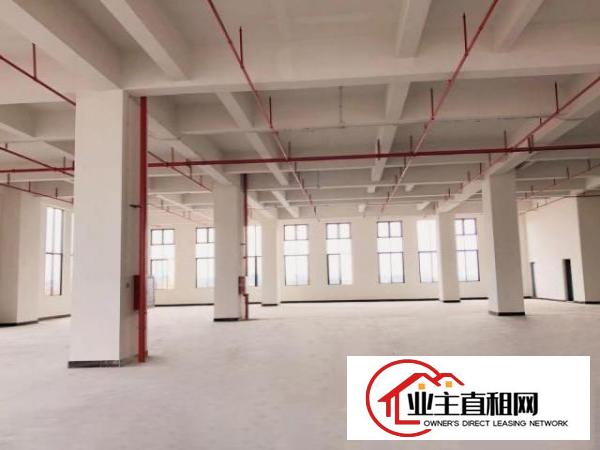  厚街万达旁高端产业园1910平全新厂房低价出租可装峰谷表