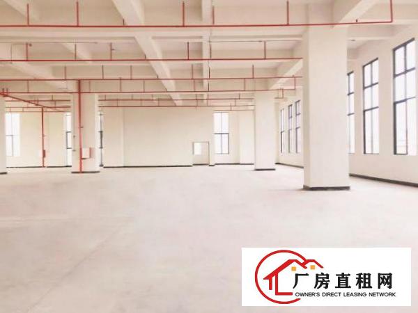  厚街二楼以上6米层高全新厂房低价出租，交通便利