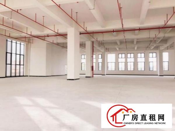  厚街二楼以上6米层高全新厂房低价出租，交通便利