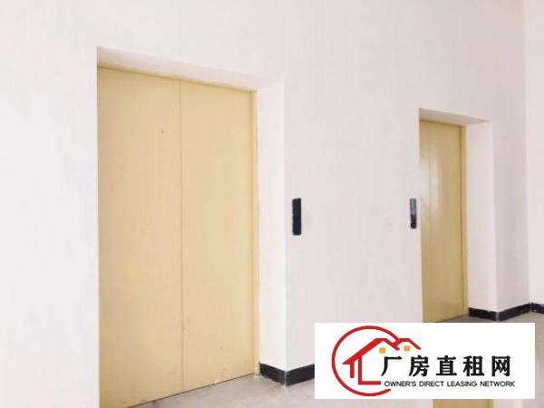  厚街二楼以上6米层高全新厂房低价出租，交通便利