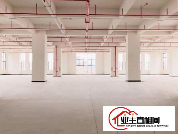  厚街鑫创动力产业园全新厂房出租低至10元起