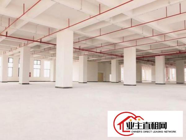  厚街鑫创动力产业园全新厂房出租低至10元起