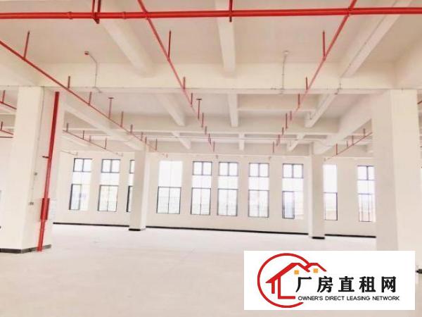  （出租）厚街鑫创动力智能产业园火爆开盘超长免租期