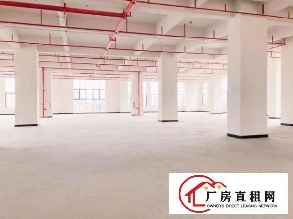  厚街二楼以上6米层高全新厂房低价出租，交通方便