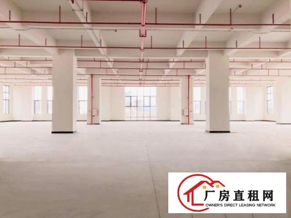  镇中心区高新技术产业园全新厂房出租租金补贴3年不涨租