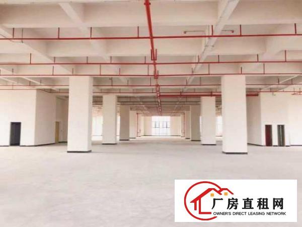 厚街智能制造产业园全新厂房出租配3部高速电梯
