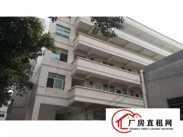  厚街镇全新钢构滴水11米价格便宜交通方便