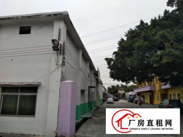  出租厚街厚街镇双岗中环超高单一层混泥土结构花园标准厂房空地大