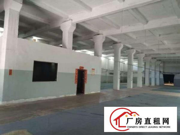  出租厚街厚街镇双岗中环超高单一层混泥土结构花园标准厂房空地大