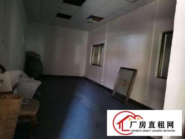  出租厚街双岗村超高单一层标准花园式厂房空地大不限行业