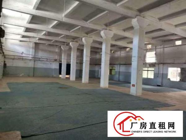  出租厚街双岗村超高单一层标准花园式厂房空地大不限行业
