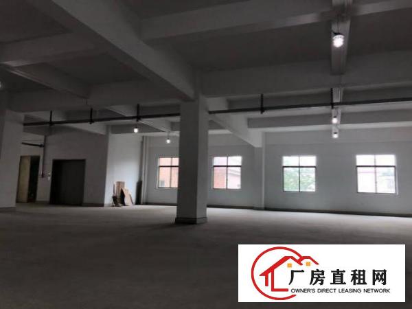  房东直租全新厂房，带装修、电梯、水电