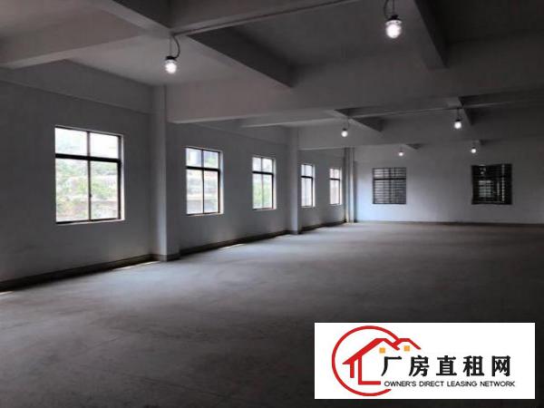  房东直租全新厂房，带装修、电梯、水电