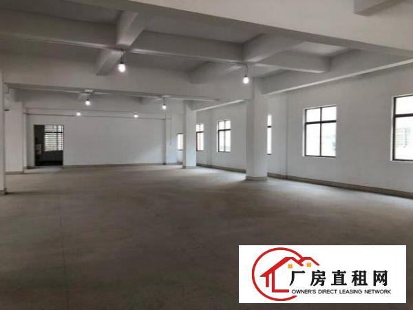  房东直租全新厂房，带装修、电梯、水电