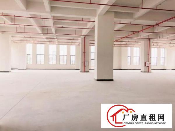  厚街鑫创动力产业园全新厂房出租（带消防喷淋）