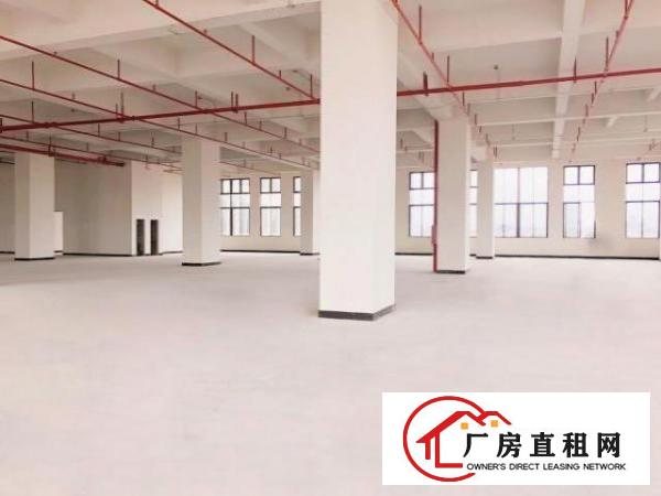  厚街鑫创动力产业园全新厂房出租（带消防喷淋）