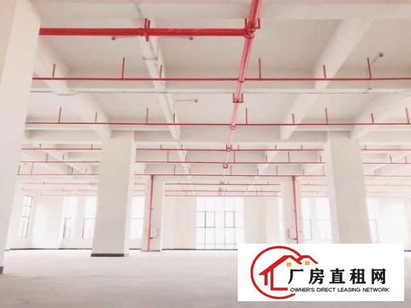  厚街近地铁口物业全新智能制造产业园厂房平价出租