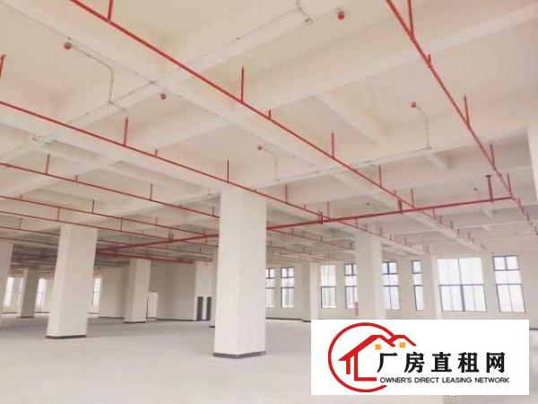  （出租）厚街鑫创动力产业园火爆开盘大小由您选适合多行业