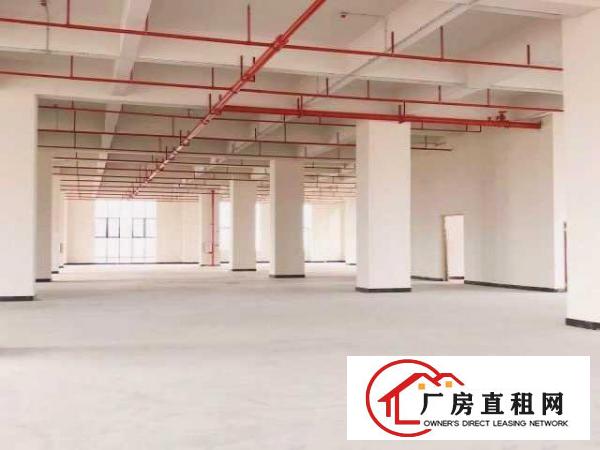  厚街中心区高端产业园全新厂房平价出租