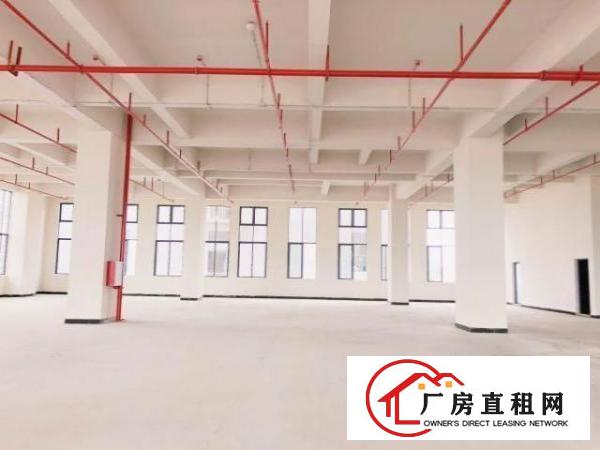  厚街高端厂房平价出租承重1.5吨/每平带5吨大货梯