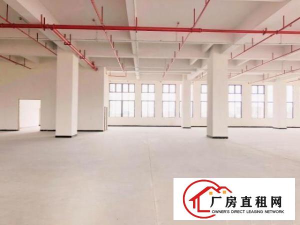  厚街高端厂房平价出租承重1.5吨/每平带5吨大货梯