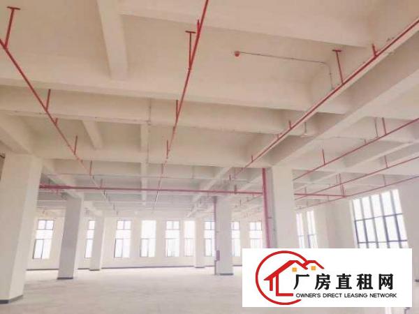  鑫创动力智能制造产业园厂房出租（配电大采光好）