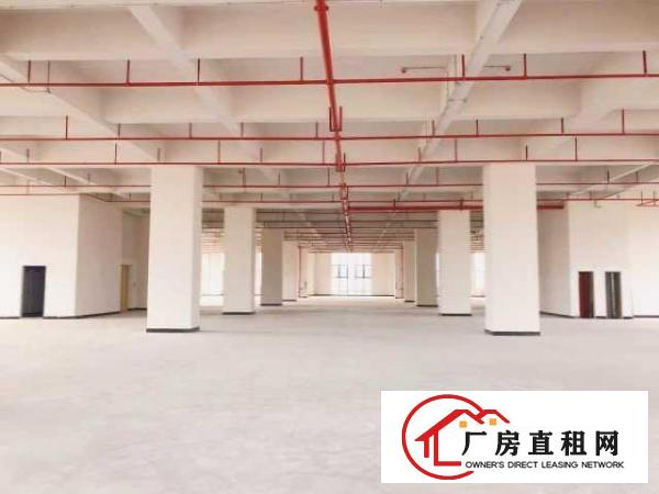  鑫创动力智能制造产业园厂房出租（配电大采光好）