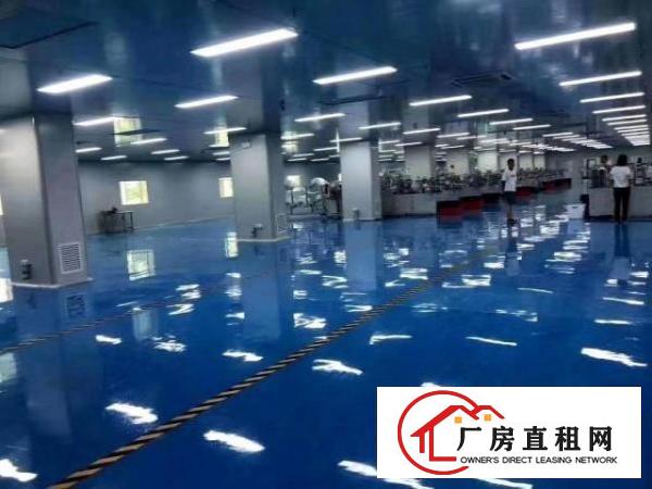  厚街大小面积可以分租，适合各种行业