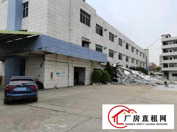  新塘村新出空地大独门独院厂房易招工