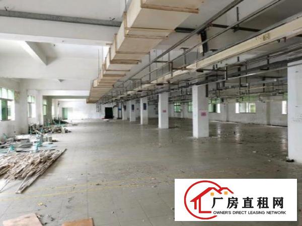  新塘村新出空地大独门独院厂房易招工