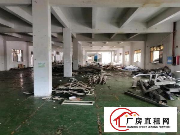  新塘村新出空地大独门独院厂房易招工