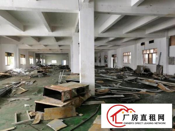  新塘村新出空地大独门独院厂房易招工