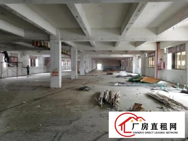  新塘村新出空地大独门独院厂房易招工