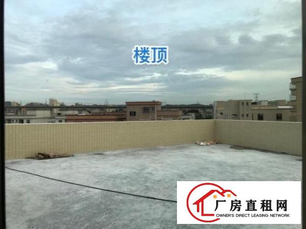  出租-可做厂房，办公室，仓库，靠近高铁站