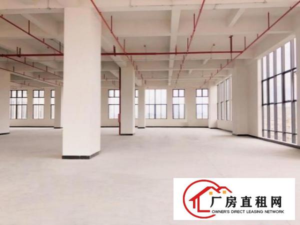  厚街智能制造产业园全新厂房出租配3部高速电梯