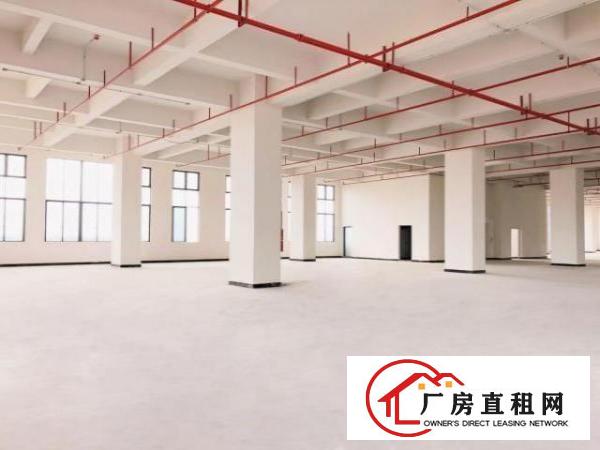  厚街智能制造产业园全新厂房出租配3部高速电梯