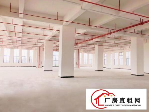  厚街地铁口旁高端产业园全新厂房出租优惠多配500个停车位