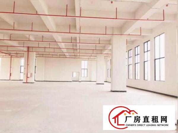  厚街地铁口旁高端产业园全新厂房出租优惠多配500个停车位