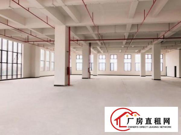  厚街地铁口旁高端产业园全新厂房出租优惠多配500个停车位
