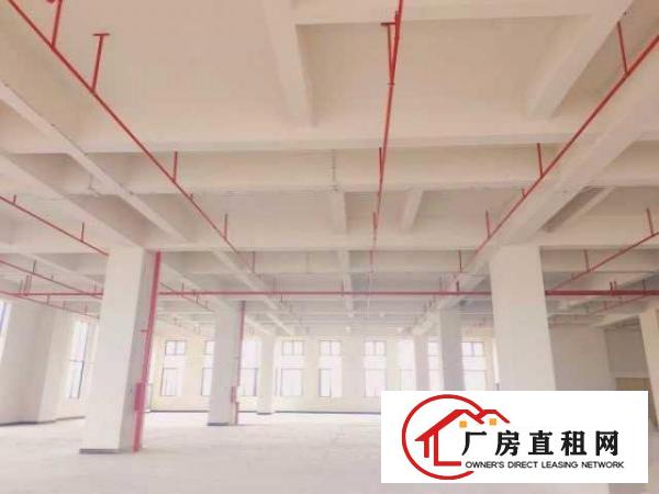  （出租）租金贴补！厚街8万平智能制造产业园厂房大小由您选