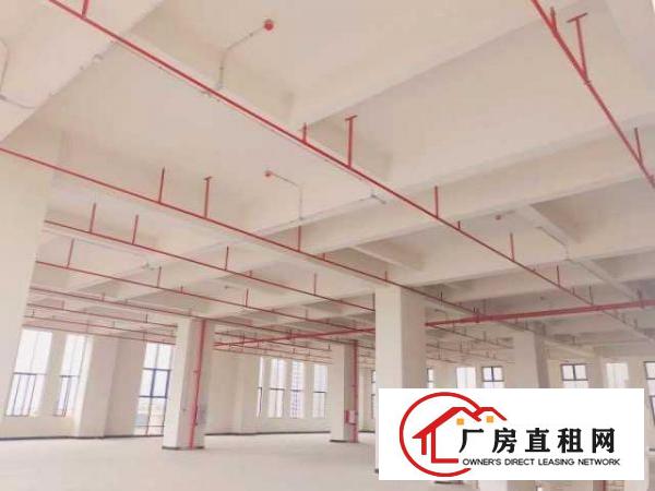  （出租）租金贴补！厚街8万平智能制造产业园厂房大小由您选