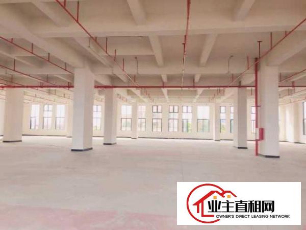  厚街鑫创动力产业园全新厂房出租6米层高采光非常好
