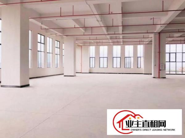  厚街鑫创动力产业园全新厂房出租6米层高采光非常好