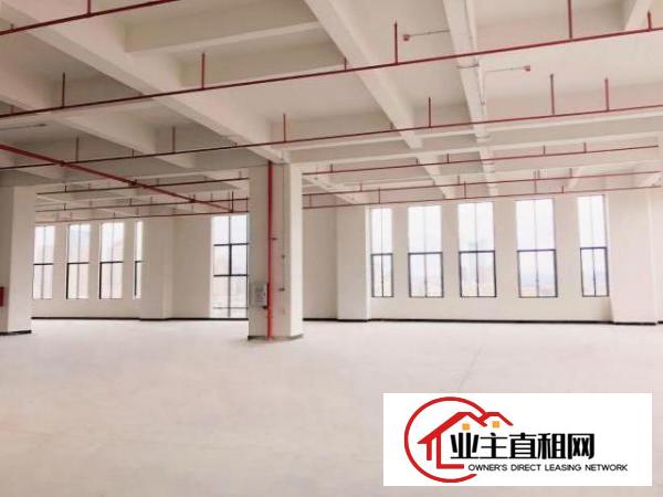  厚街鑫创动力产业园全新厂房出租6米层高采光非常好