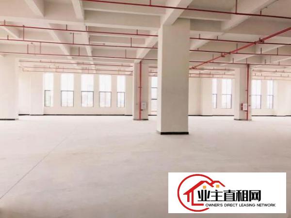  厚街鑫创动力产业园全新厂房出租6米层高采光非常好