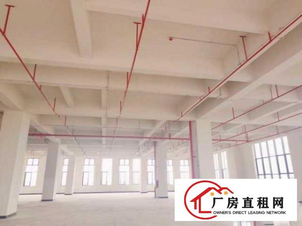  厚街二楼以上6米层高全新厂房低价出租，交通方便