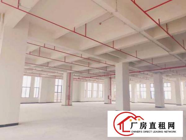  厚街二楼以上6米层高全新厂房低价出租，交通方便